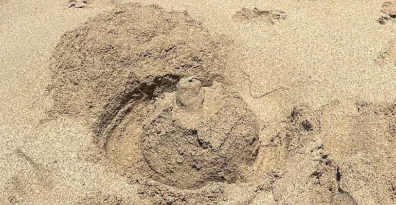 Screenshot-2026-01-28-at-12.27.25